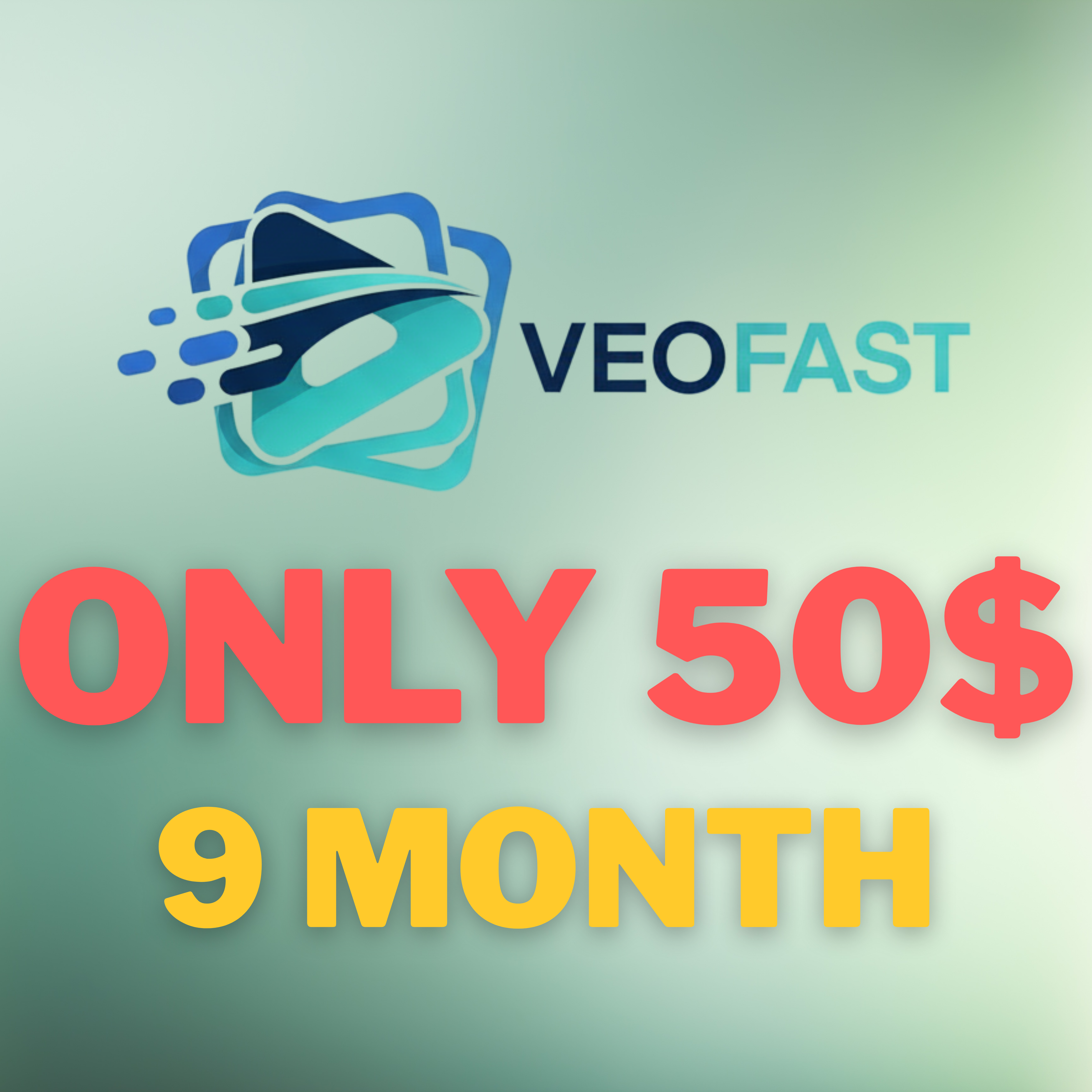 API tool Veofast 9 month